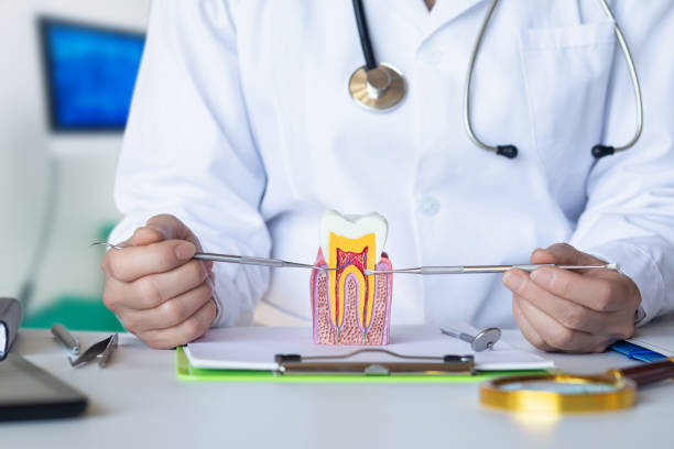 Best Emergency Treatment for Toothache in St Augustine South, FL